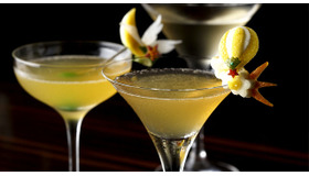 写真手前より、パローネ、プルマージュ、ウィステリア