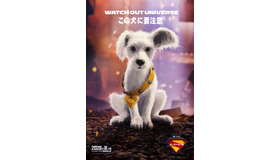 『スーパーガール』© & TM DC © 2026 WBEI