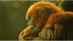 『OCHI！-オチ-』© 2024 KURKAMART LLC AND IPR.VC FUND II KY. ALL RIGHTS RESERVED.