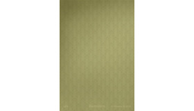 『Backrooms』（C）APOLLO