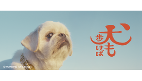 『犬も歩けば』