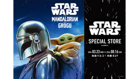 「STAR WARS SPECIAL STORE by BENELIC」