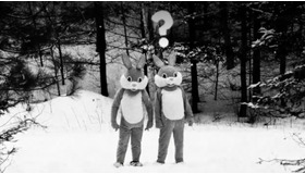 『FEVER ビーバー！』© 2022 SABLJAK RAVENWOOD HOGERTON