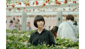 水曜ドラマ「冬のなんかさ、春のなんかね」最終話