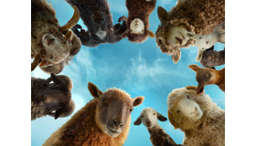 『ひつじ探偵団』