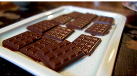 Tokyo Chocolate Salon 2013 ~Bean to Bar Experience~