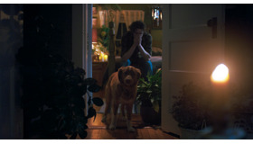 『GOOD BOY／グッド・ボーイ』© 2025 Whats Wrong With Your Dog, LLC. All Rights Reserved.