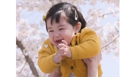 韓国で最も有名な赤ちゃんハルくん、その人気は芸能人の父親以上であることが判明【PHOTO】