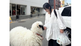 6月に出産予定の『太陽を抱く月』女優ナム・ボラ、道で出会った羊との2ショットを公開【PHOTO】