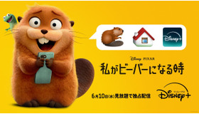 『私がビーバーになる時』(C)2026 Disney/Pixar. All Rights Reserved.
