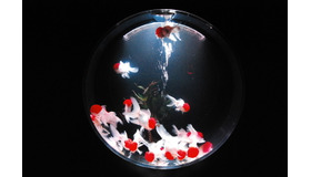 金魚が泳ぐ納涼美。アートアクアリウム2013が日本橋で開催