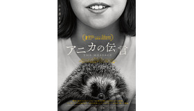 『アニカの伝言』