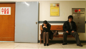 『四月の雪』　メイン