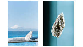 写真展「カキ展 Photography by momoko japan」　　展示10作品のうち、3作品はカキ展のオフィシャルサイトにて閲覧可能。