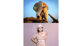 『ネイチャー』探検隊に任命された東宝シンデレラガール・上白石萌歌　-(C)BBC Earth Productions (Africa) Limited and Reliance Prodco EK LLC 2014