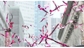 春一番に舞った桜シャワー