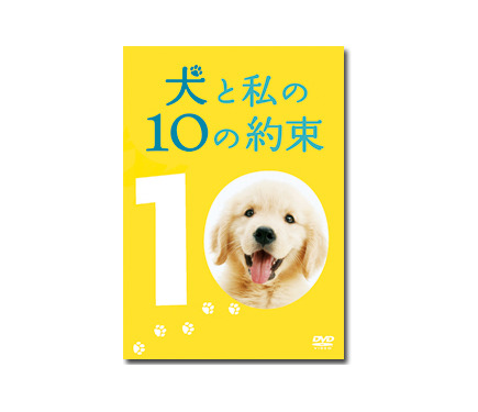 犬と私の10の約束 主演の田中麗奈 映画の現場ってなぜかホッとするんです 4枚目の写真 画像 Cinemacafe Net