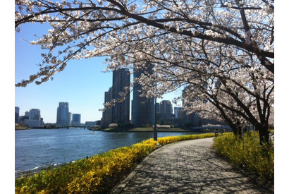【MOVIEブログ】つれづれ日記 画像