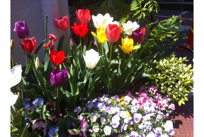 【MOVIEブログ】4月7日～13日のつれづれ日記 画像