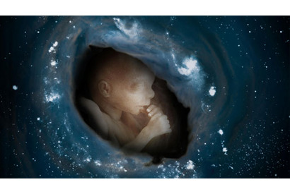 2006年を占う映画 vol.2　エコロジー系のおしゃれさんに『グレート・ビギン』 画像