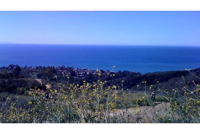 2008年のハリウッド・セレブは“ママ・ブーム” 画像