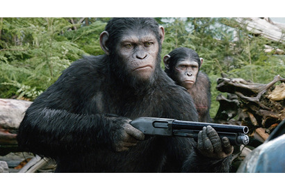 【予告編】“共存”か“対立”…猿と人類の最大の決断とは？『猿の惑星：新世紀』 画像
