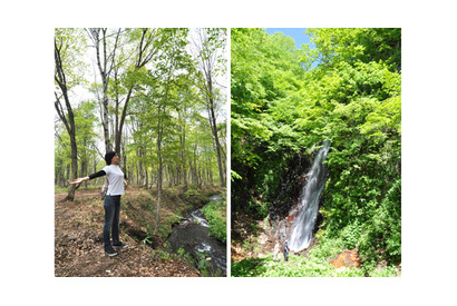 スパ＆森林セラピーで究極のデトックス体験！ 妙高高原に2泊3日のビューティトリップ 画像