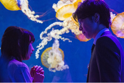 オタク女子・能年玲奈＆童貞エリート・長谷川博己に恋の予感？　『海月姫』ビジュアル解禁 画像