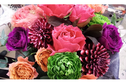 【MOVIEブログ】シネマショート★落ちない紫のバラ 画像