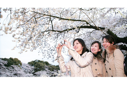 春の“女子旅”！　女子会トークに花咲く？“バス旅”意識調査に注目 画像
