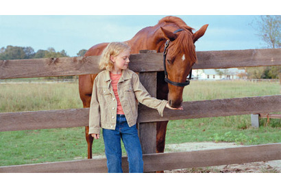 『夢駆ける馬ドリーマー』レビュー 画像