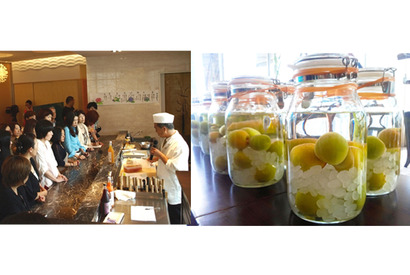 創業117年目「龍名館」、梅酒作りセミナー開催！ コース料理と梅酒飲み比べ付き 画像
