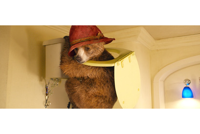 おっちょこちょいなパディントン公開！胸キュン写真到着 画像