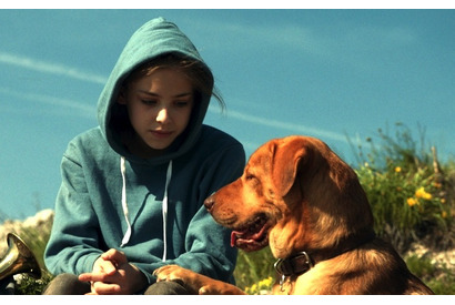 「犬の日」記念！犬だらけの冒頭映像解禁『ホワイト・ゴッド 少女と犬の狂詩曲』 画像