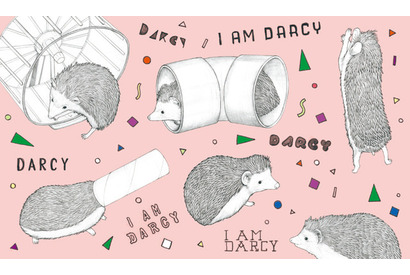 “世界一有名なハリネズミ”、ユーモラスな絵本に！ 画像