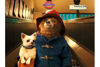 【ご招待】吹き替えキャスト登壇『パディントン』試写会に20組40名様 画像