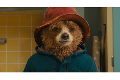 【特別映像】パディントンが“ミッション:インポッシブル”に挑戦!?『パディントン』 画像