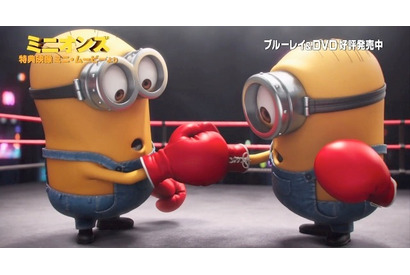 【特別映像】『ミニオンズ』、ライバルのボクシング対決の行方は!? 画像
