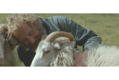 【シネマVOYAGE】アイスランドの美しい自然で描かれる兄弟の絆『ひつじ村の兄弟』 画像