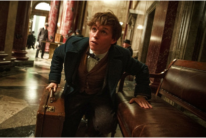 【シネマ羅針盤】2016年の注目映画は？　年末にはSW、ハリポタ、妖怪が大激突 画像