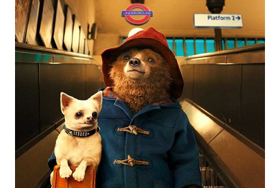 【映画ではじめるデートプラン 第31回】『パディントン』× バレンタインデート in 東京ミッドタウン 画像