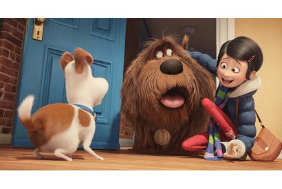 【予告編】バナナマン＆佐藤栞里の声も！山寺宏一ら豪華声優陣参加『ペット』 画像