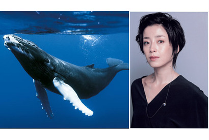 宮沢りえ、出産後初の本格映画復帰　『オーシャンズ』のナビゲーターに大抜擢！ 画像