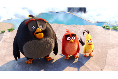 【予告編】『アングリーバード』に新キャラ登場！憧れの“ヒーロー”がまさかの行動!? 画像