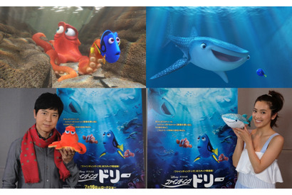 『ファインディング・ドリー』吹き替え版声優に上川隆也＆中村アンが参加決定！ 画像
