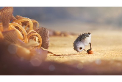 『ファインディング・ドリー』は同時上映も見逃せない！短編『ひな鳥の冒険』が描き出す“成長”の物語 画像