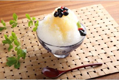 【3時のおやつ】白味噌とかき氷のマリアージュ！京都で人気の“西京白味噌かき氷”って？ 画像