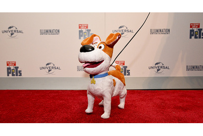 『ペット』世界で大ヒット！早くも続編の公開日が決定 画像