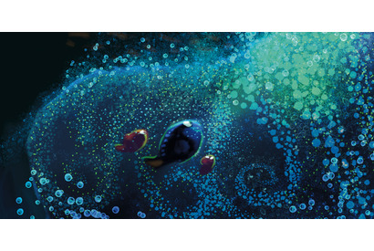 『ファインディング・ドリー』の世界ができるまで 画像