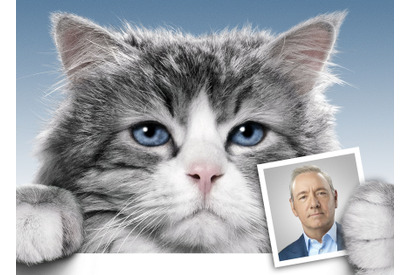 【ご招待】『メン・イン・キャット』試写会に5組10名様 画像